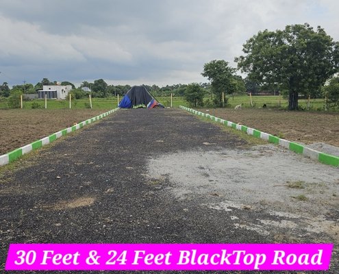 Rajeswari Garden (3)